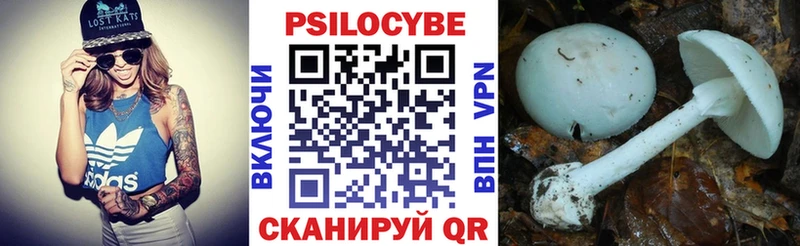 даркнет сайт  Солигалич  Псилоцибиновые грибы ЛСД 